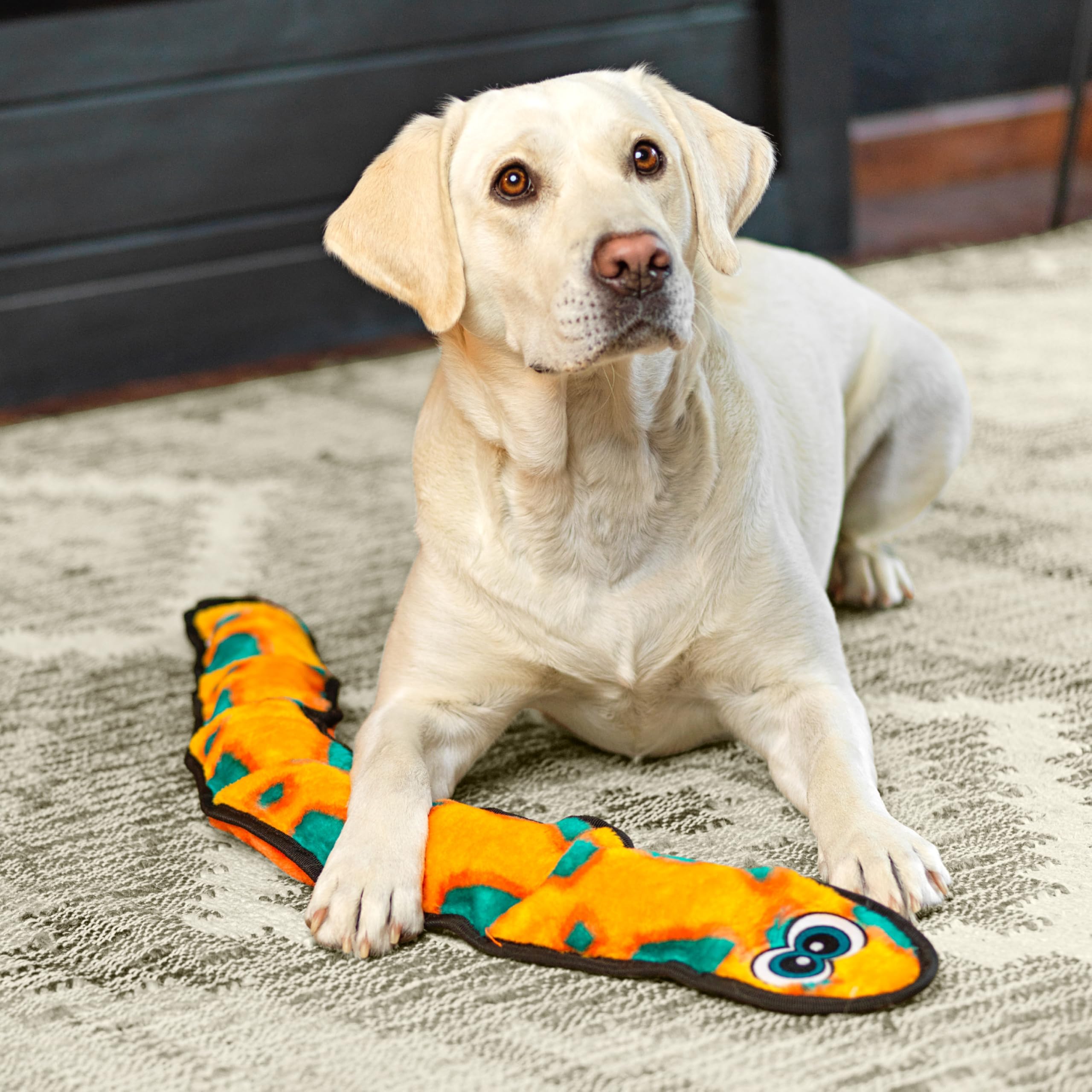 Outward Hound Durablez snake toy binding detail; K-9 TUFF GUARD for extra durability.