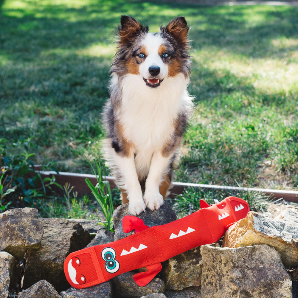 Outward Hound Fire Biterz Dragon Interactive Fetch Toy with satisfying squeaks.