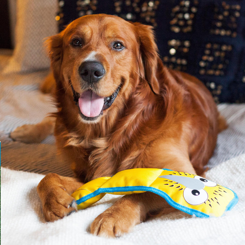 Outward Hound Fire Biterz Turtle Plush supports interactive fetch and tug play.