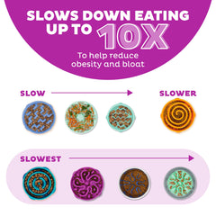 Outward Hound Fun Feeder slo bowl purple flower pattern adds color to meals.