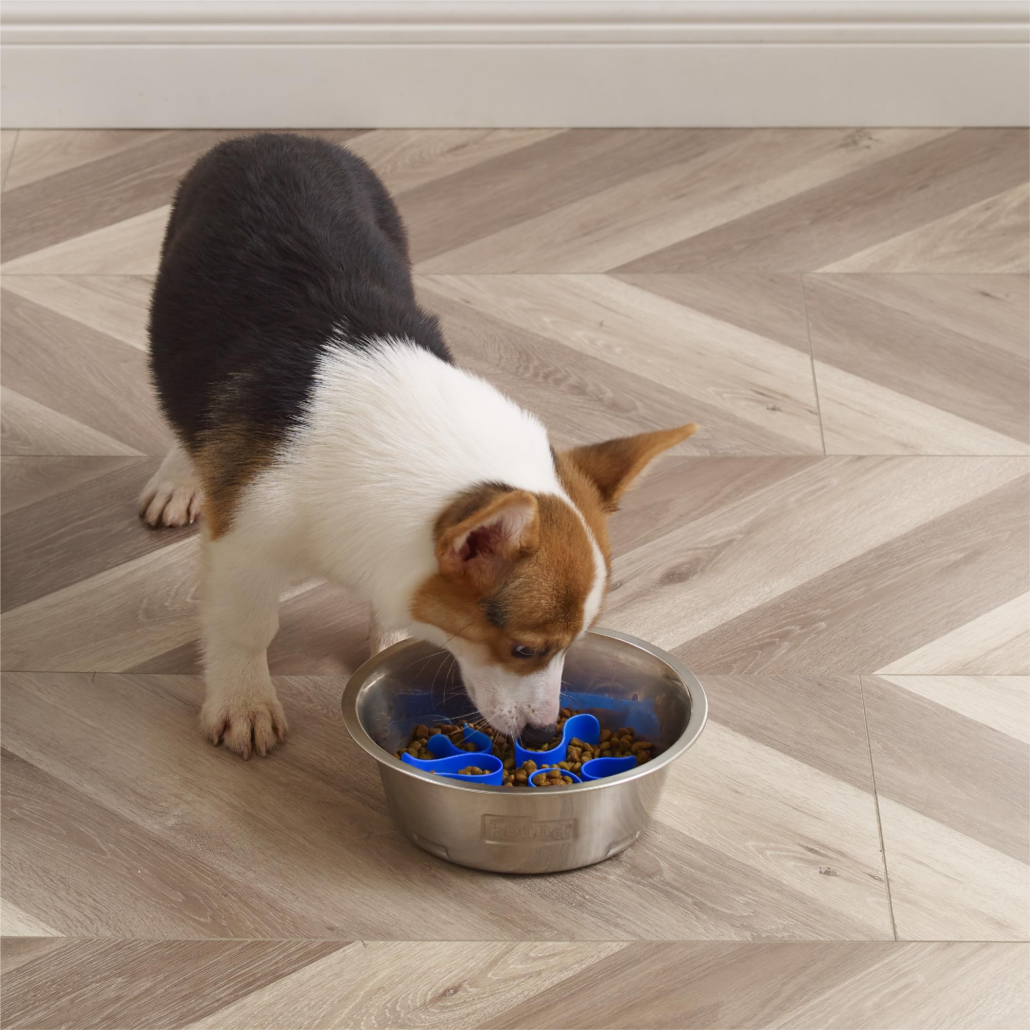 Outward Hound Fun Feeder compatible with raised feeding platforms.