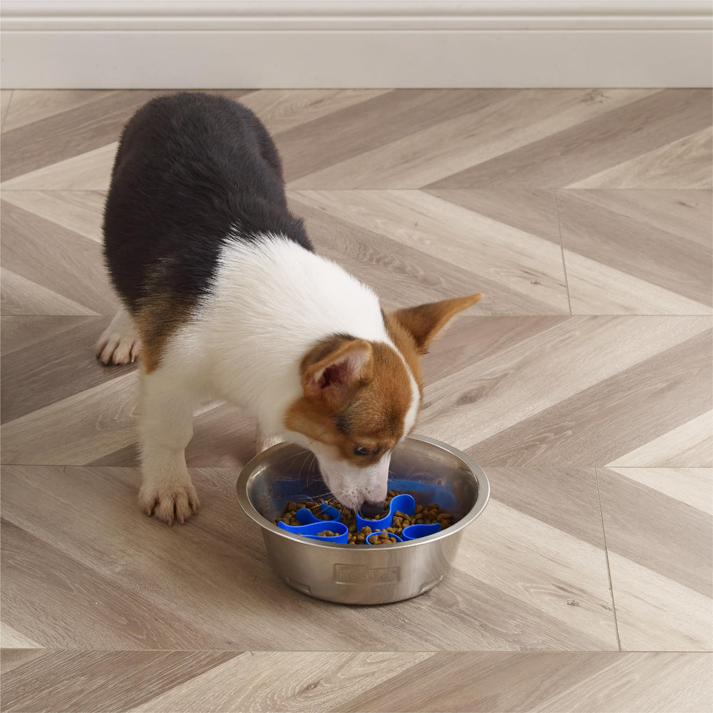 Outward Hound Fun Feeder compatible with raised feeding platforms.