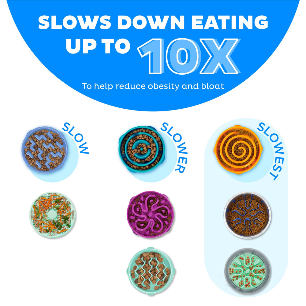 Outward Hound Fun Feeder removable maze encourages mindful eating during meals.