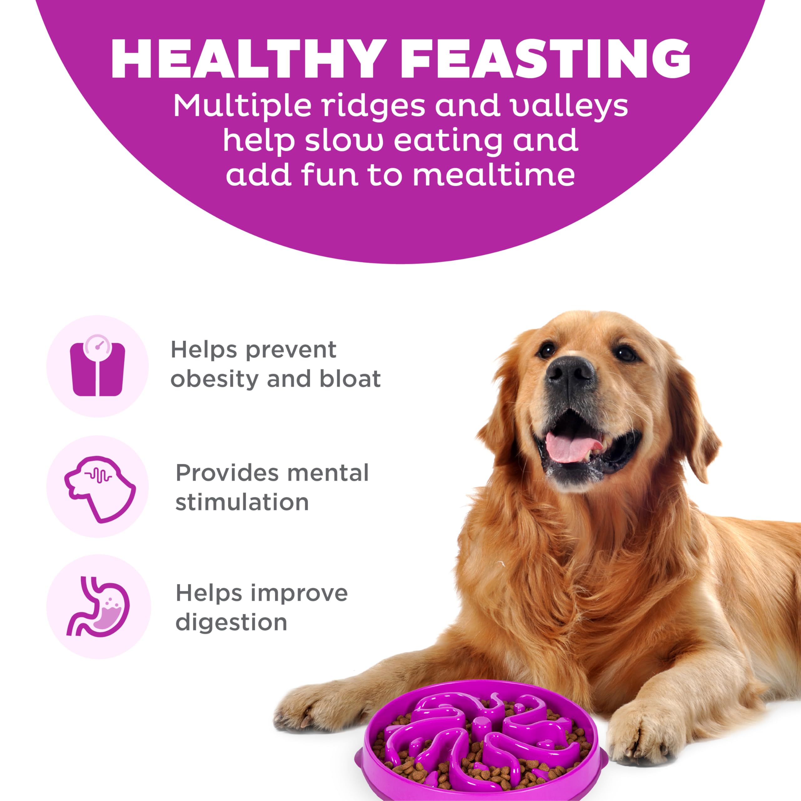 Outward Hound Fun Feeder slo bowl non-slip design prevents spills during meals.
