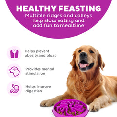 Outward Hound Fun Feeder slo bowl non-slip design prevents spills during meals.