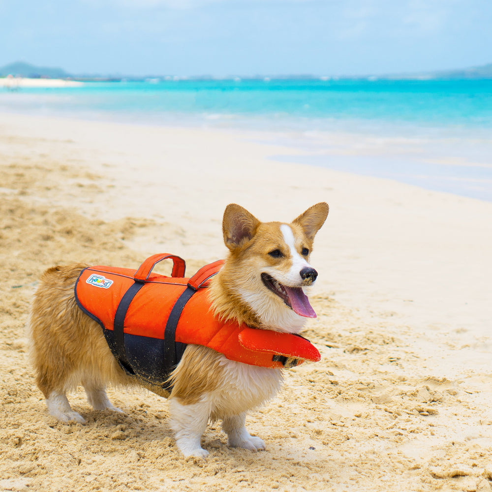 Outward Hound Granby Splash Orange life jacket size small with secure buckles.