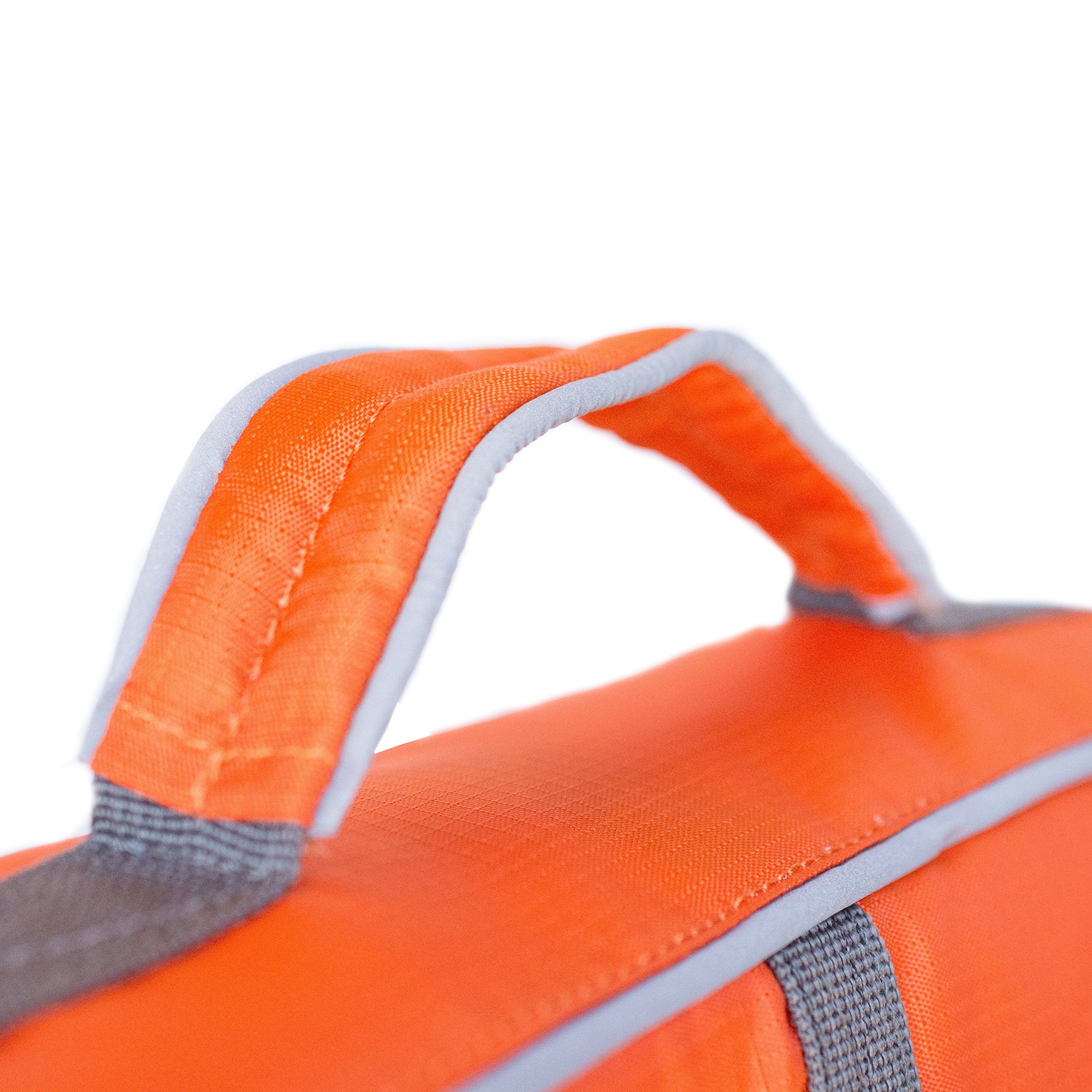 Outward Hound Granby Splash XS bright color and reflective trim boost visibility in low light