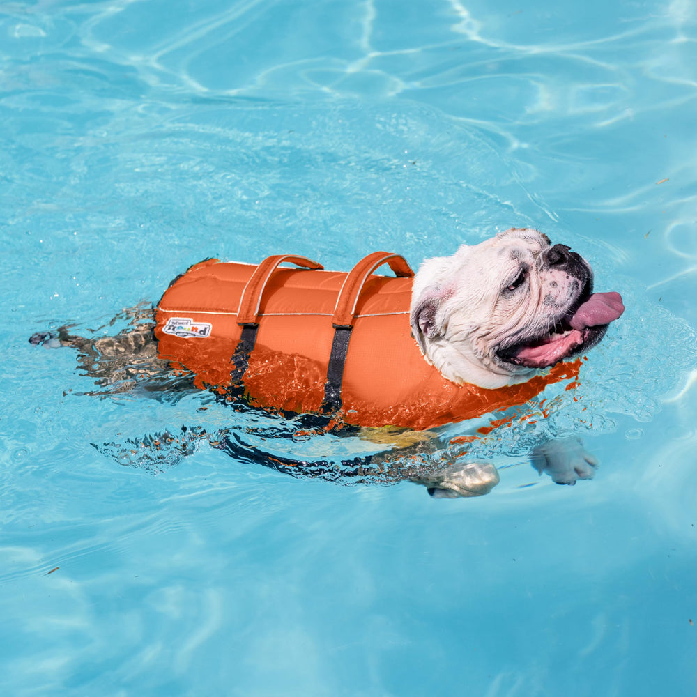 Outward Hound Granby Splash Orange Life Jacket ripstop durability for water adventures