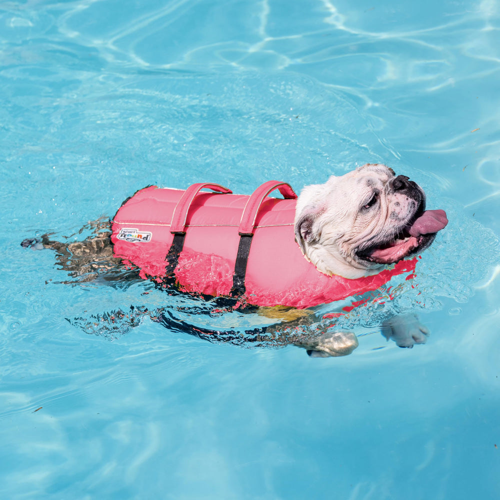 Outward Hound Granby Splash Pink Life Jacket Medium closeup of dual grab handles