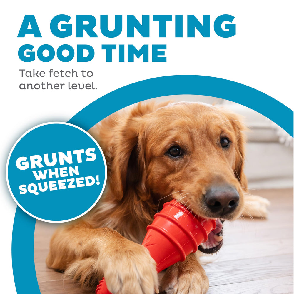 Outward Hound Grunt Fetch Stick Bunny Red action shot with grunting sound