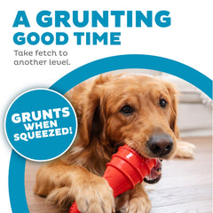 Outward Hound Grunt Fetch Stick Bunny Red action shot with grunting sound