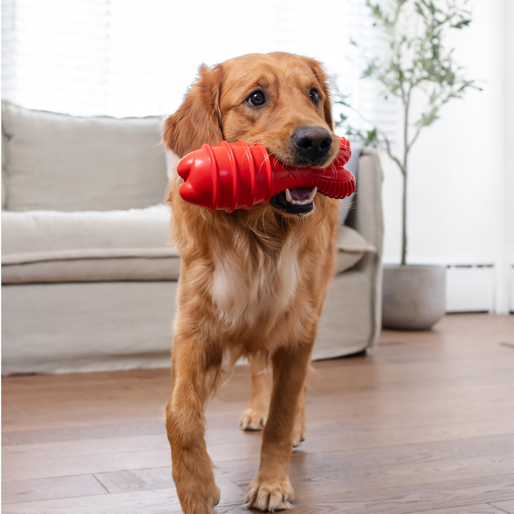 Outward Hound Grunt Fetch Stick Bunny Red indoor-outdoor toy in bright color