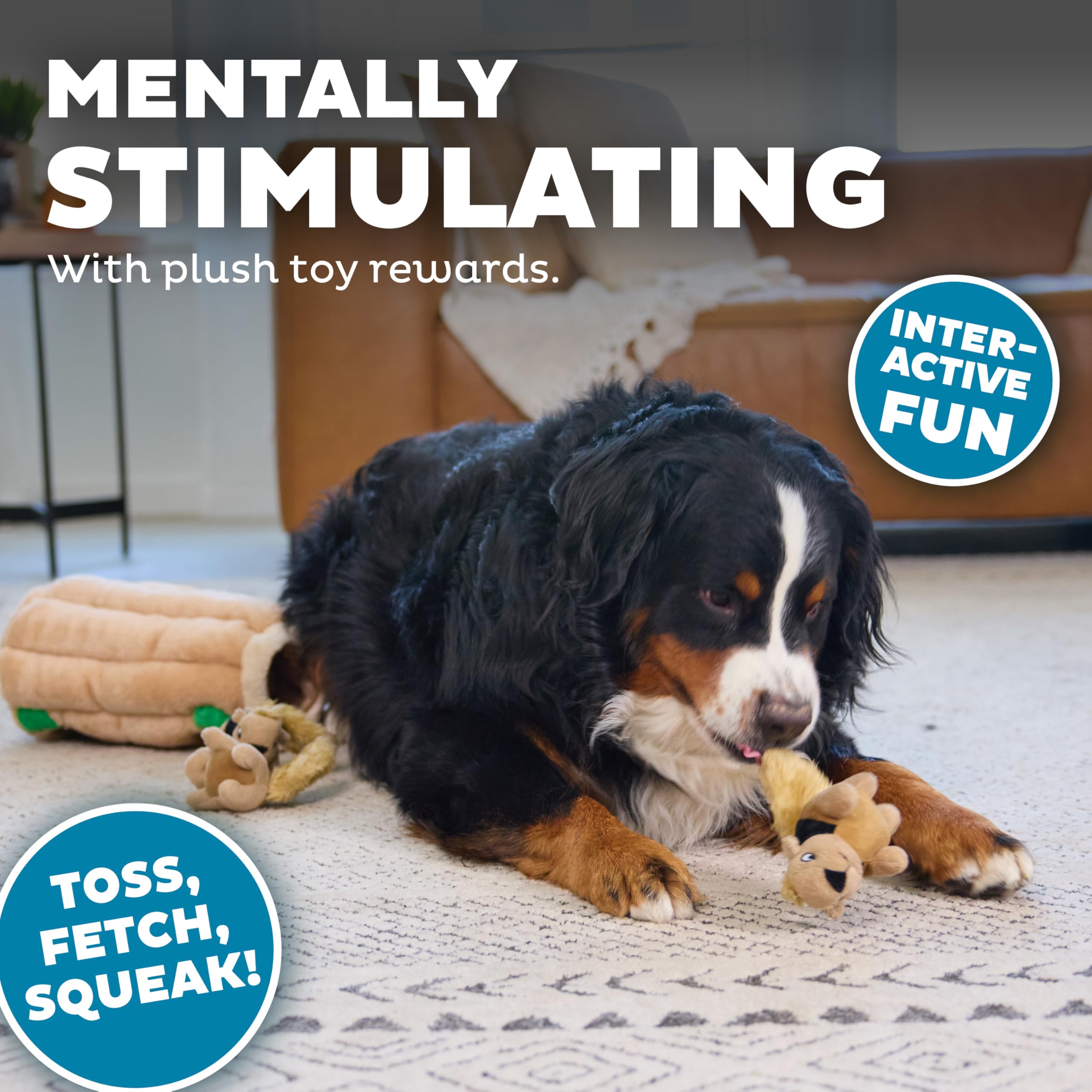 Outward Hound Hide-A-Squirrel promotes problem-solving during dog-friendly hide-and-seek games