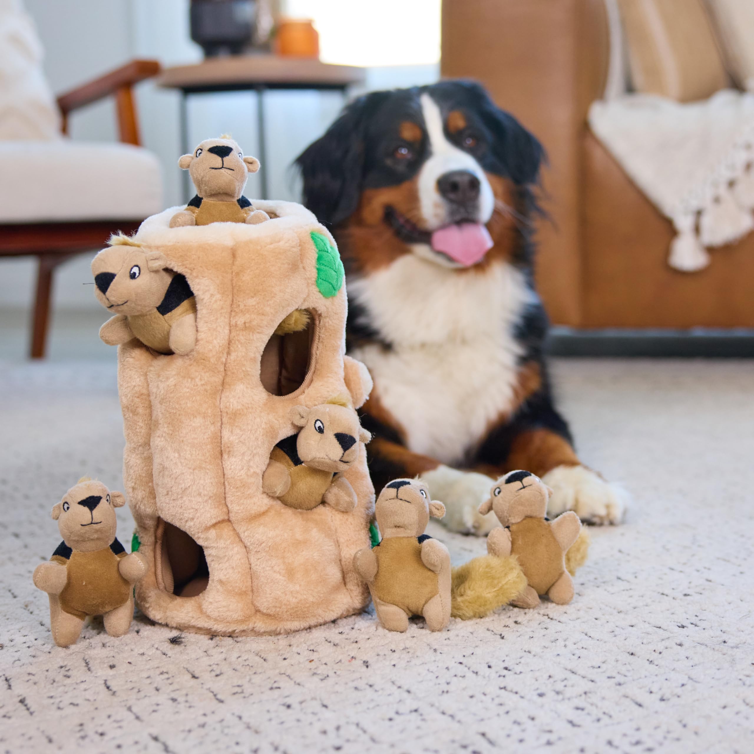 Outward Hound Hide-A-Squirrel is designed for supervised play to ensure safe enjoyment