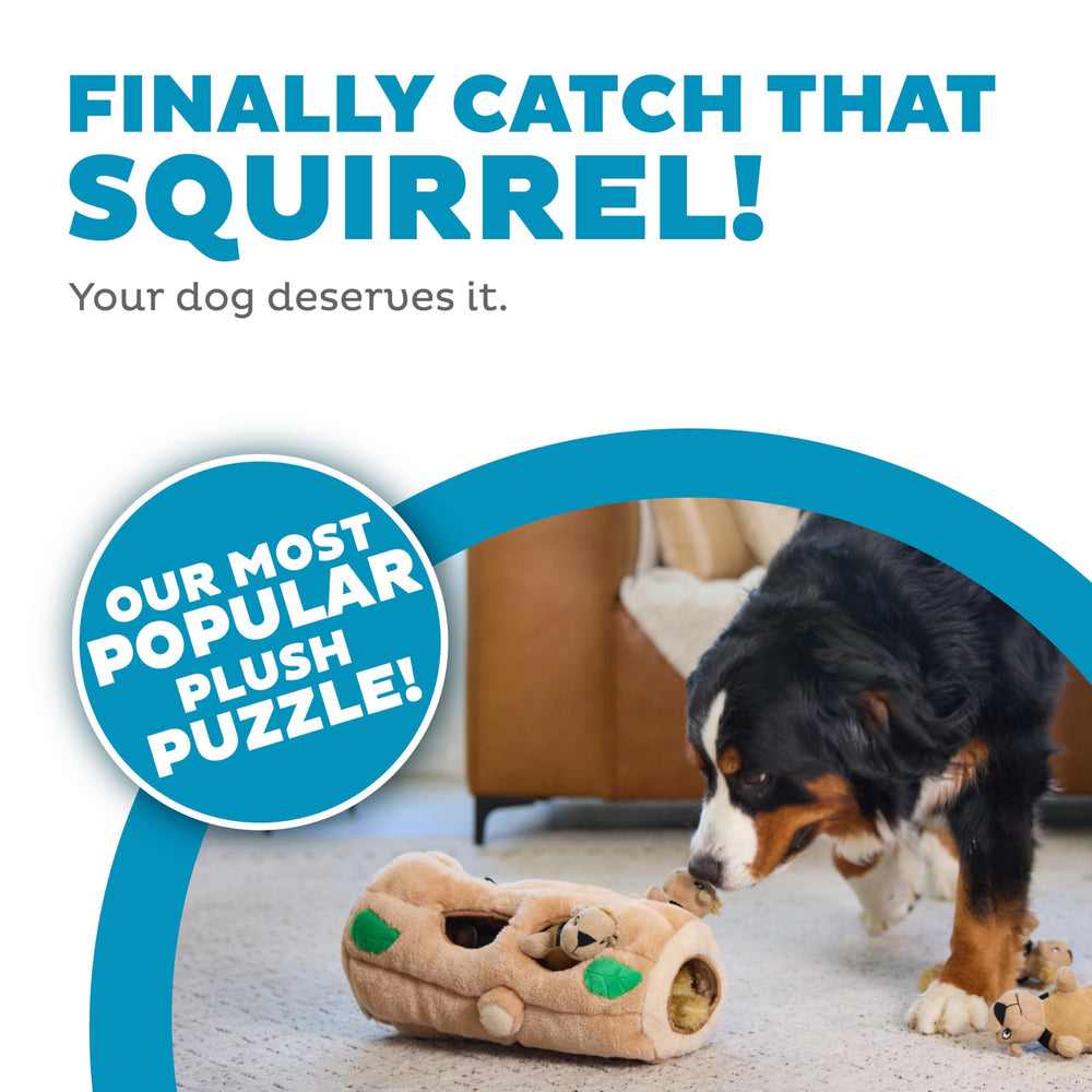Outward Hound Hide-A-Squirrel features six squeaky squirrels for rewarding searches