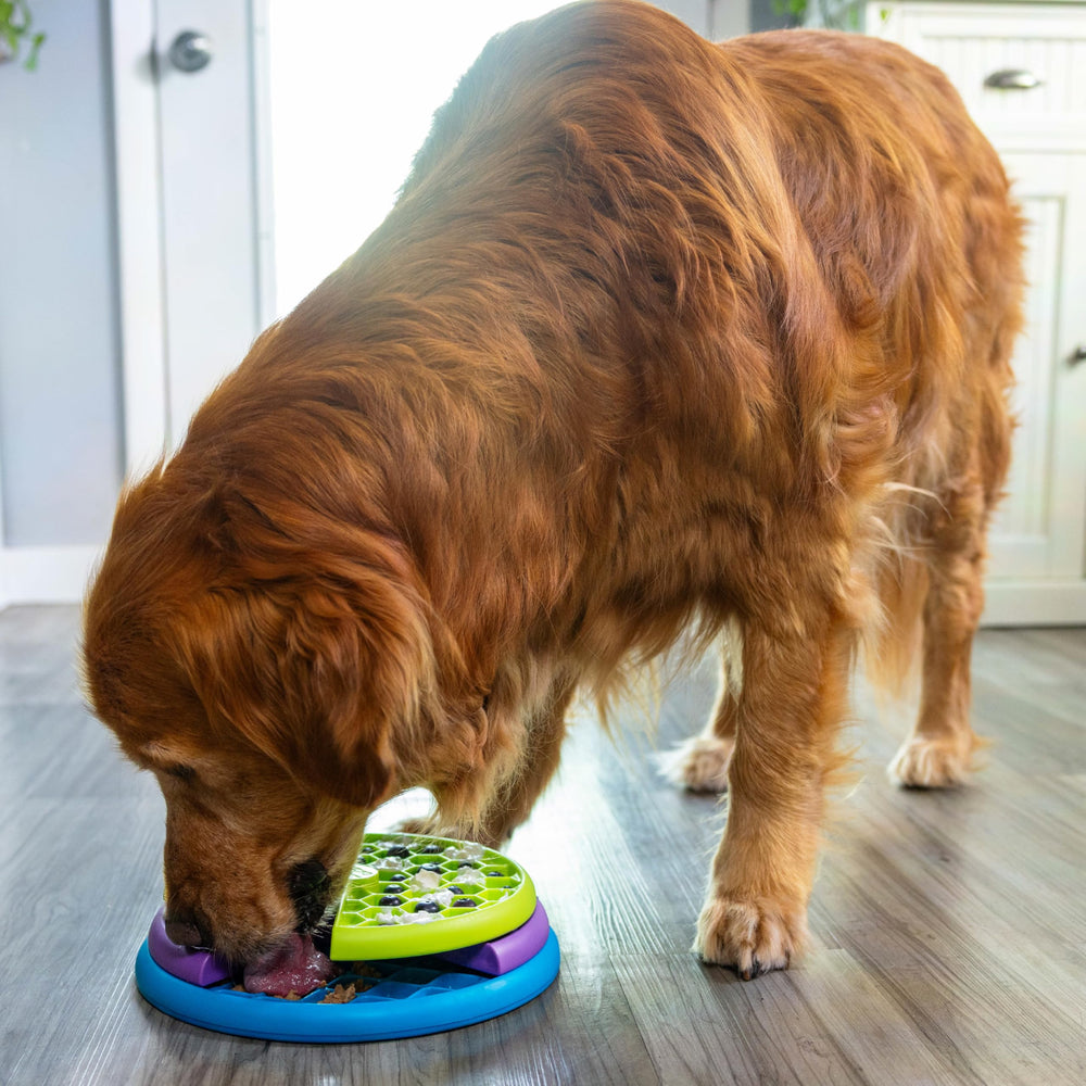 Outward Hound Lickin’ Layers enhances mealtime play and enrichment