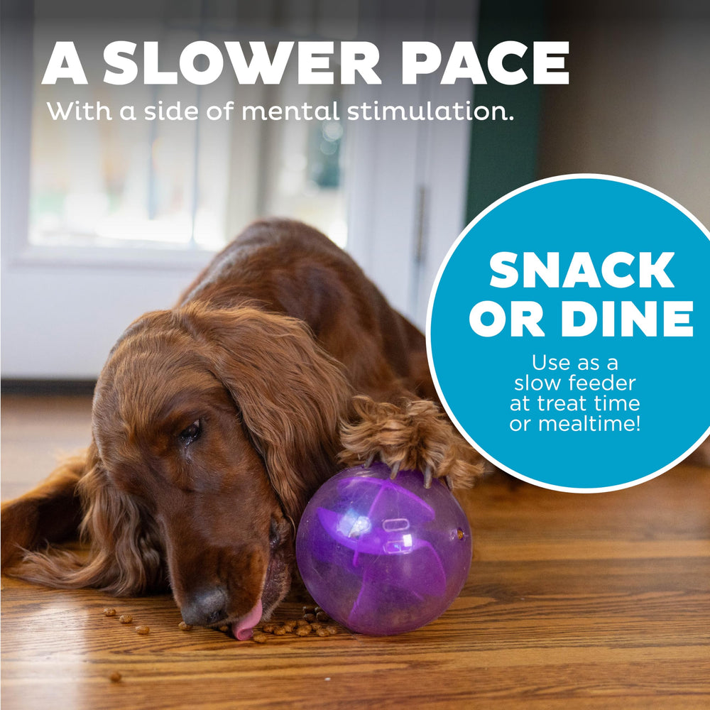 Outward Hound Orbee-Tuff Mazee—durable, safe materials support supervised enrichment