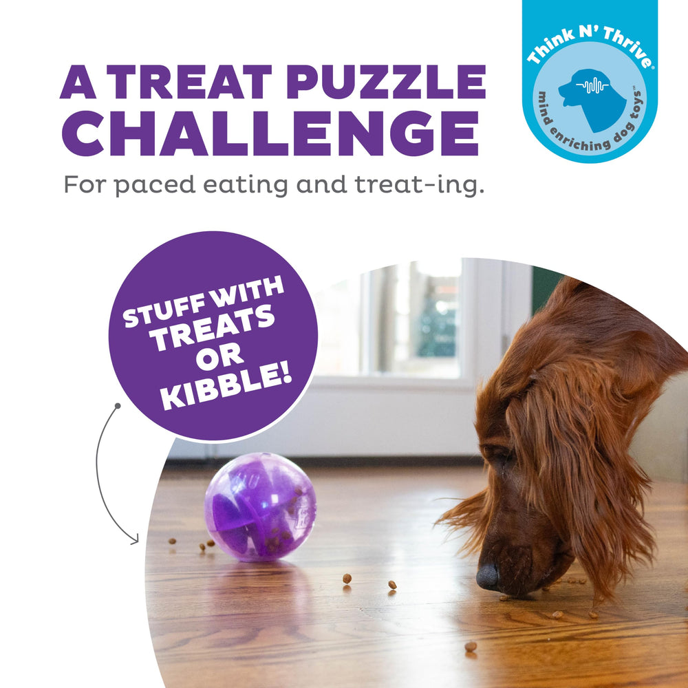 Outward Hound Orbee-Tuff Mazee purple shell—stimulates scent and touch during puzzle play