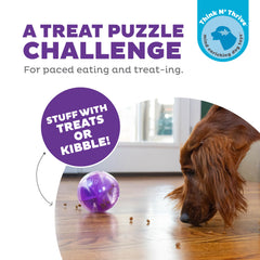 Outward Hound Orbee-Tuff Mazee purple shell—stimulates scent and touch during puzzle play