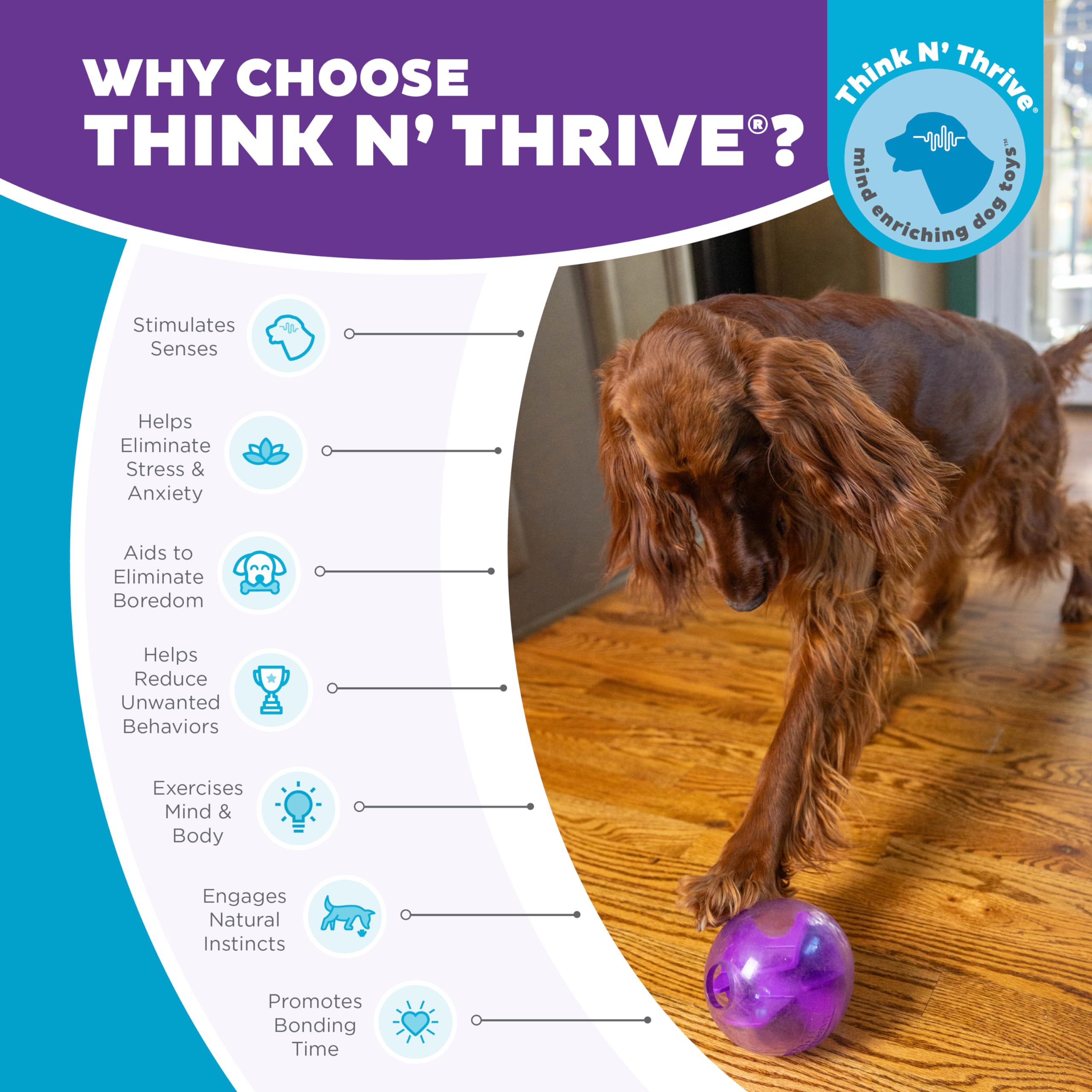 Outward Hound Orbee-Tuff Mazee purple hue—helps slow down fast eaters