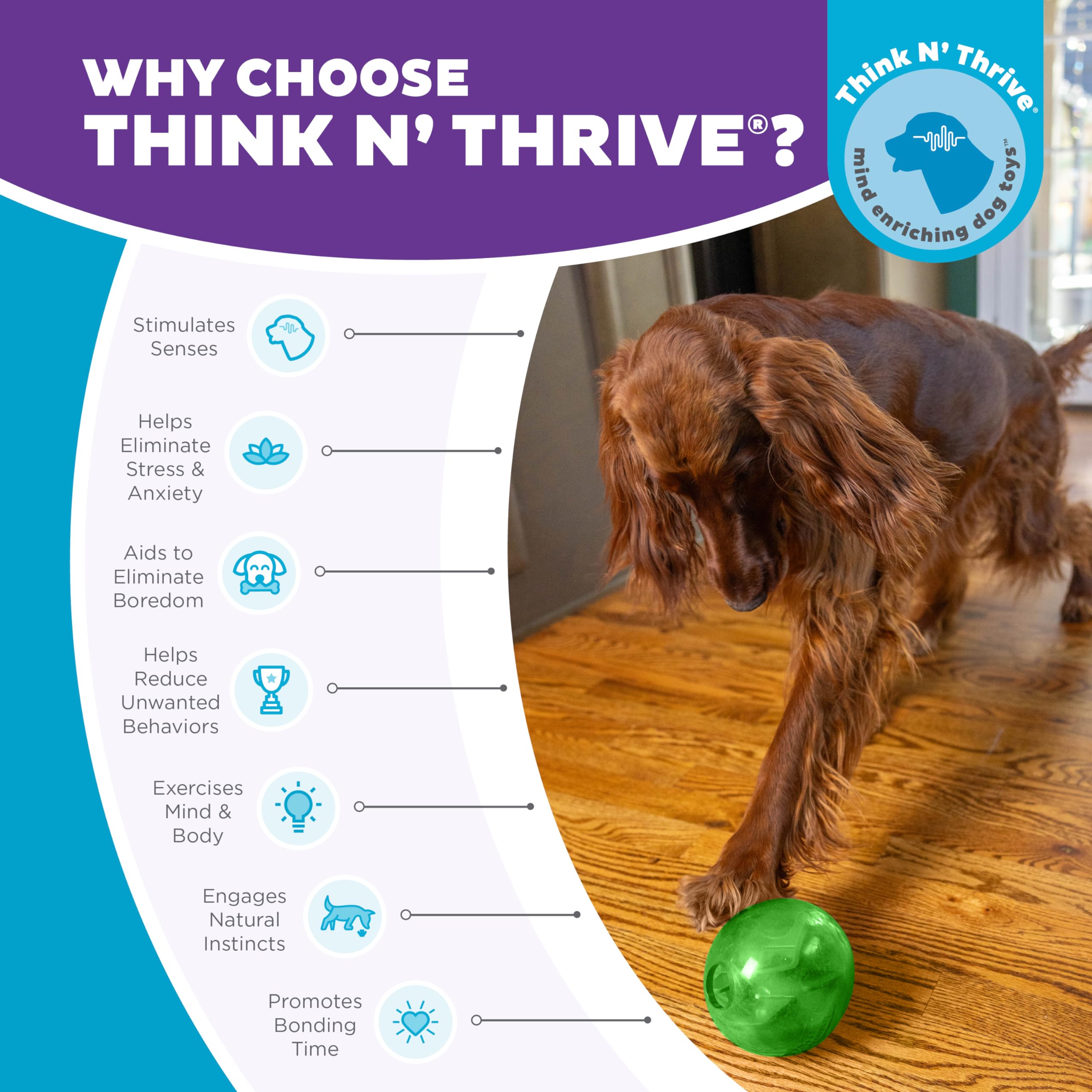 Outward Hound Orbee-Tuff Mazee promotes supervised play and enrichment