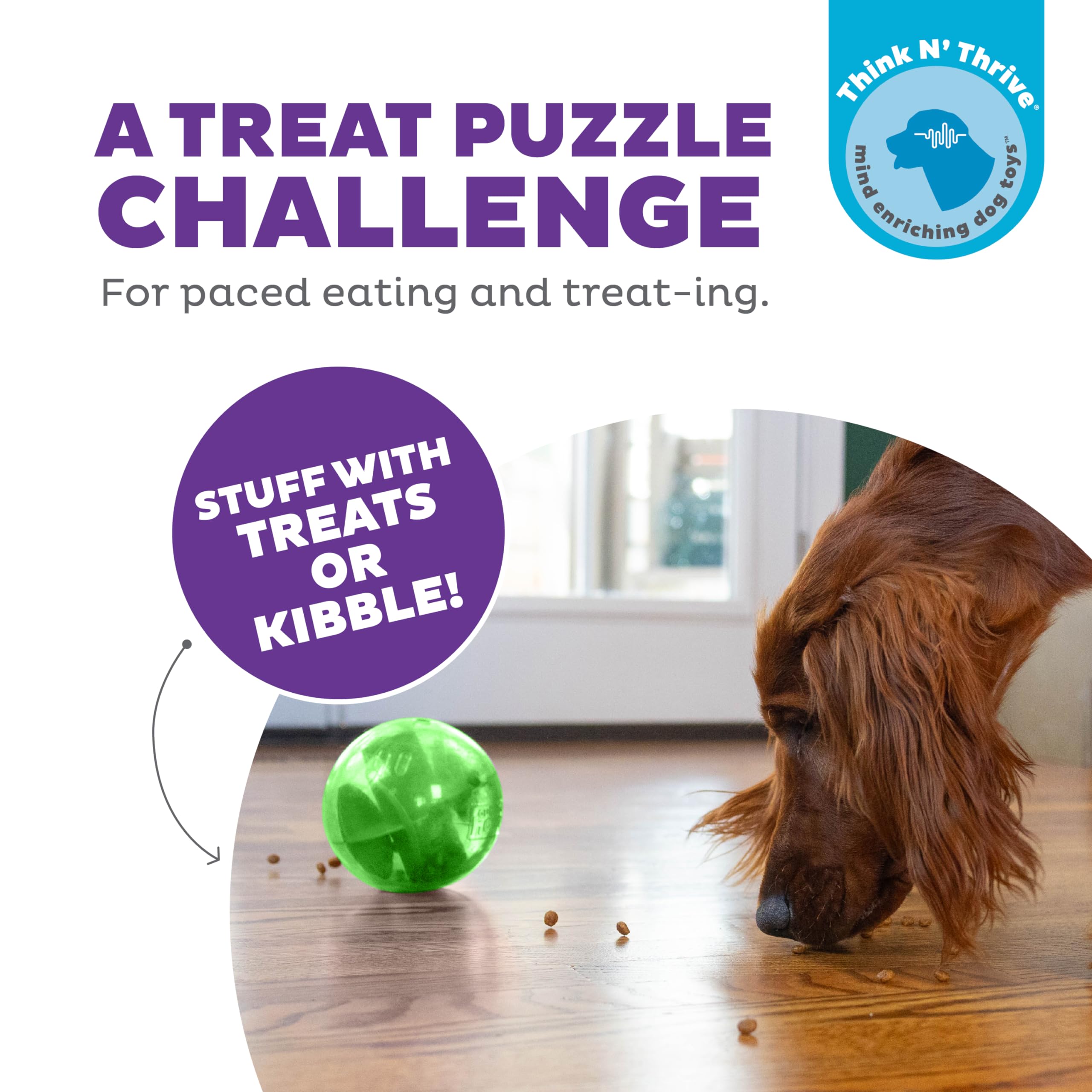 Outward Hound Orbee-Tuff Mazee tinted shell lets dogs see rewards