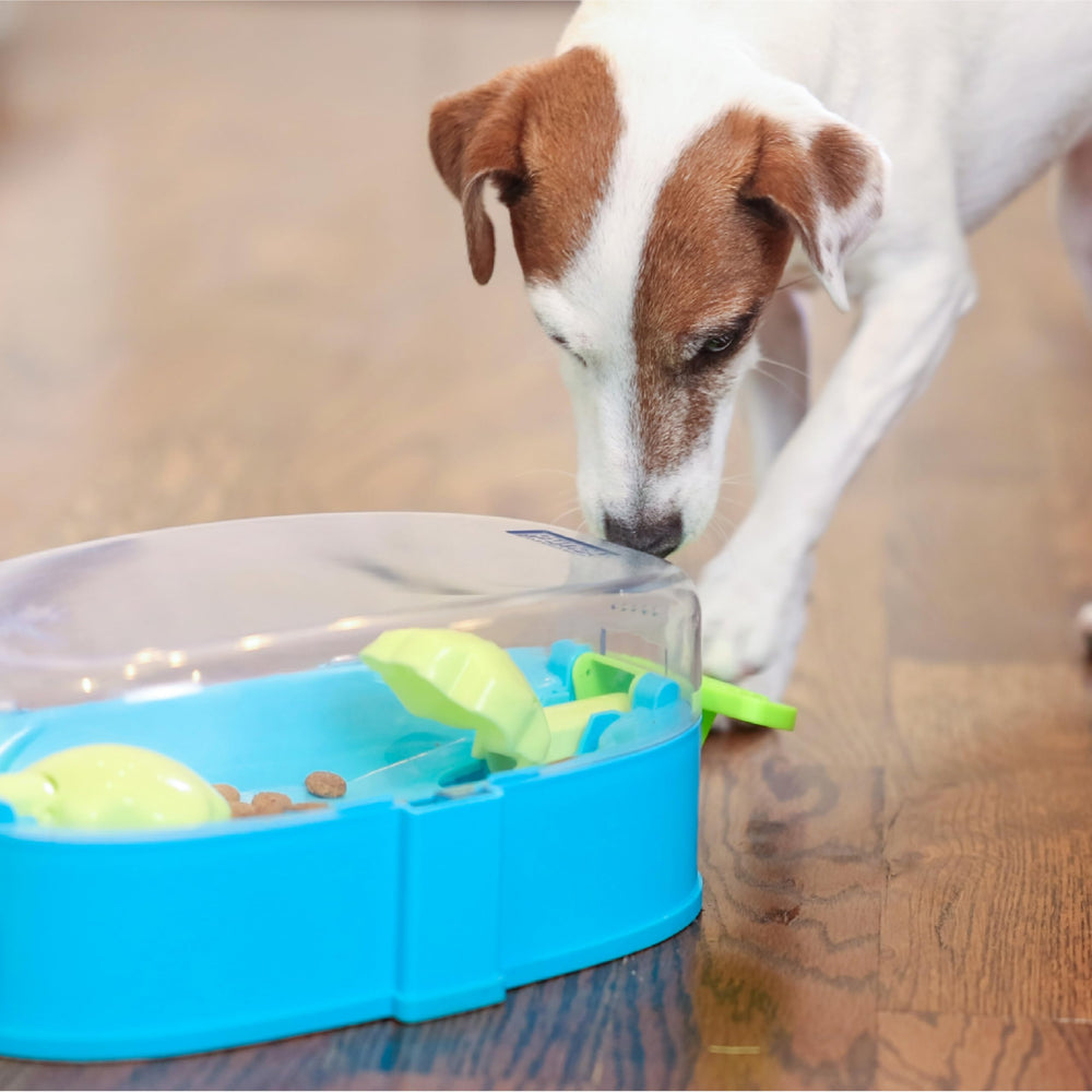 Outward Hound Paw N' Play is made from BPA-free PVC-free materials for safety