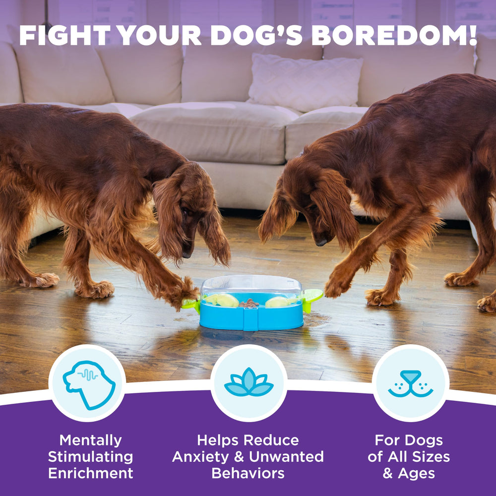 Outward Hound Paw N' Play handles and paws movers engage dogs in treat hunting