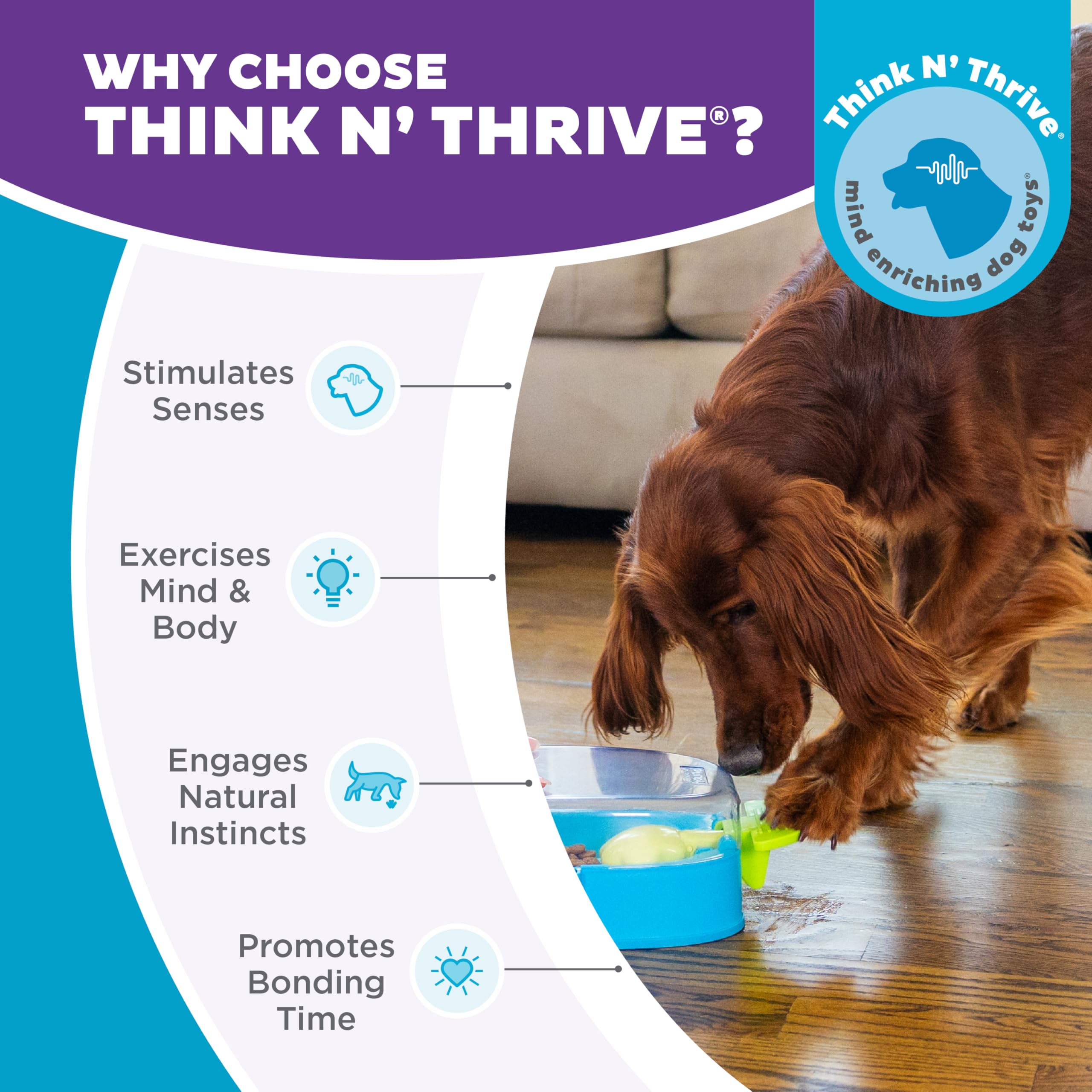 Outward Hound Paw N' Play supports multiple dogs playing together for shared enrichment