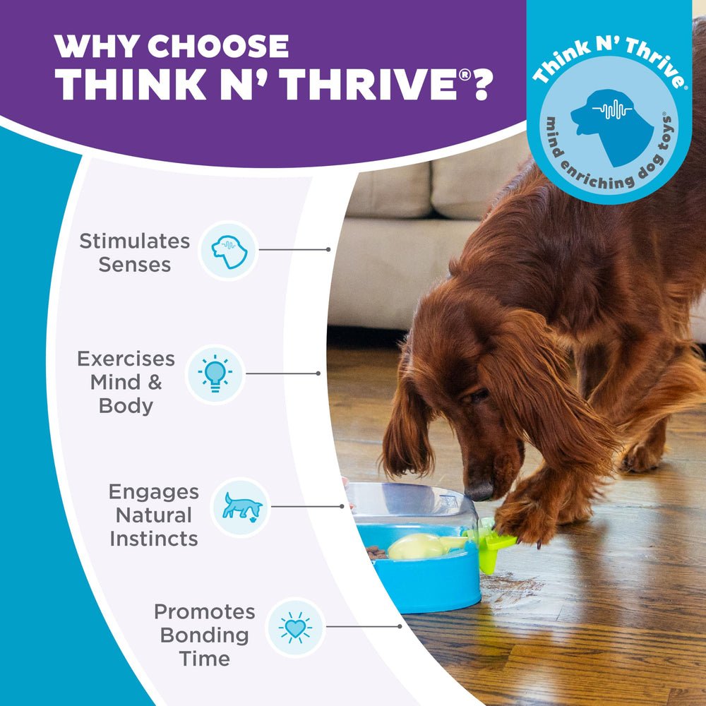 Outward Hound Paw N' Play supports multiple dogs playing together for shared enrichment