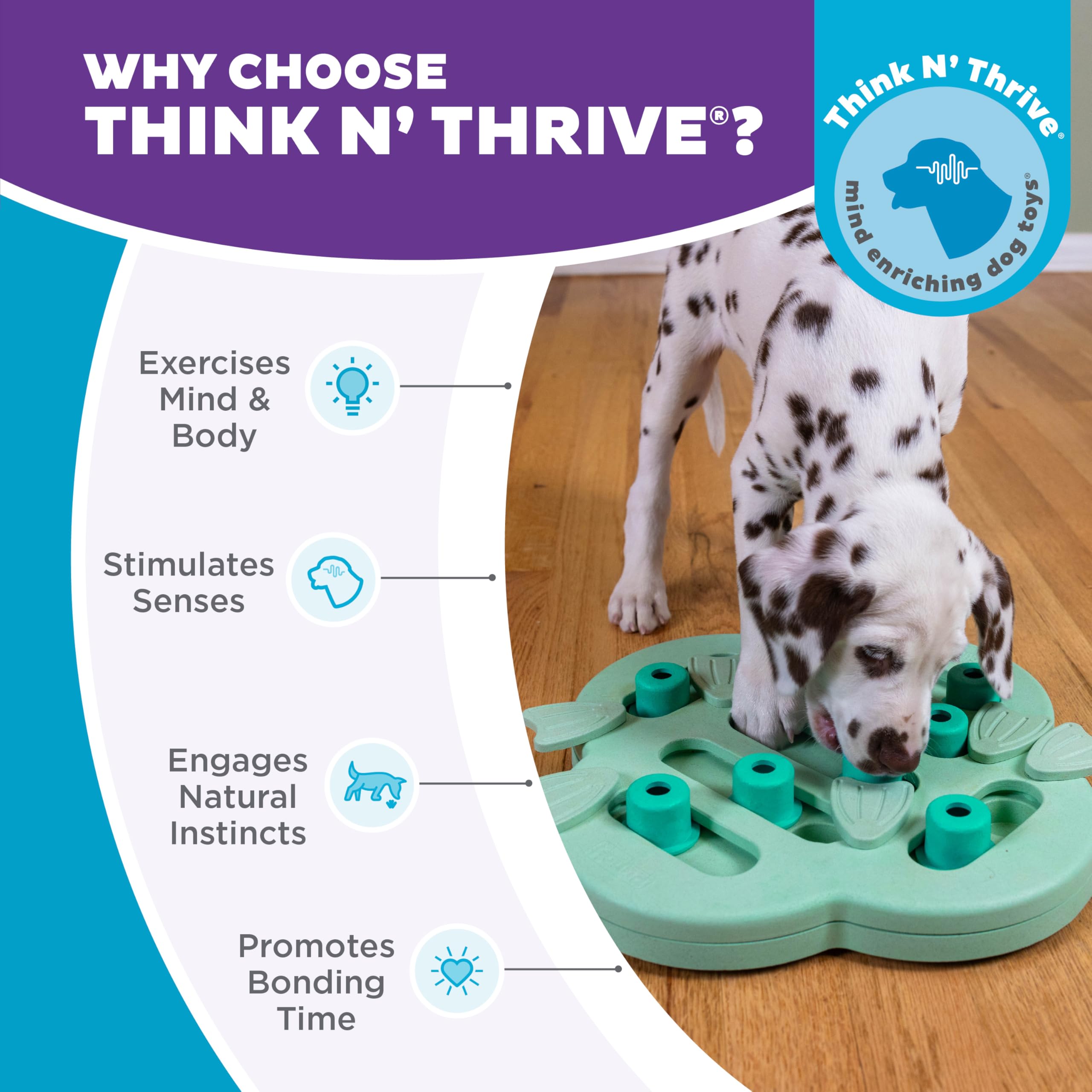 Outward Hound Hide N' Slide durable, BPA-free dog puzzle for puppies and dogs.