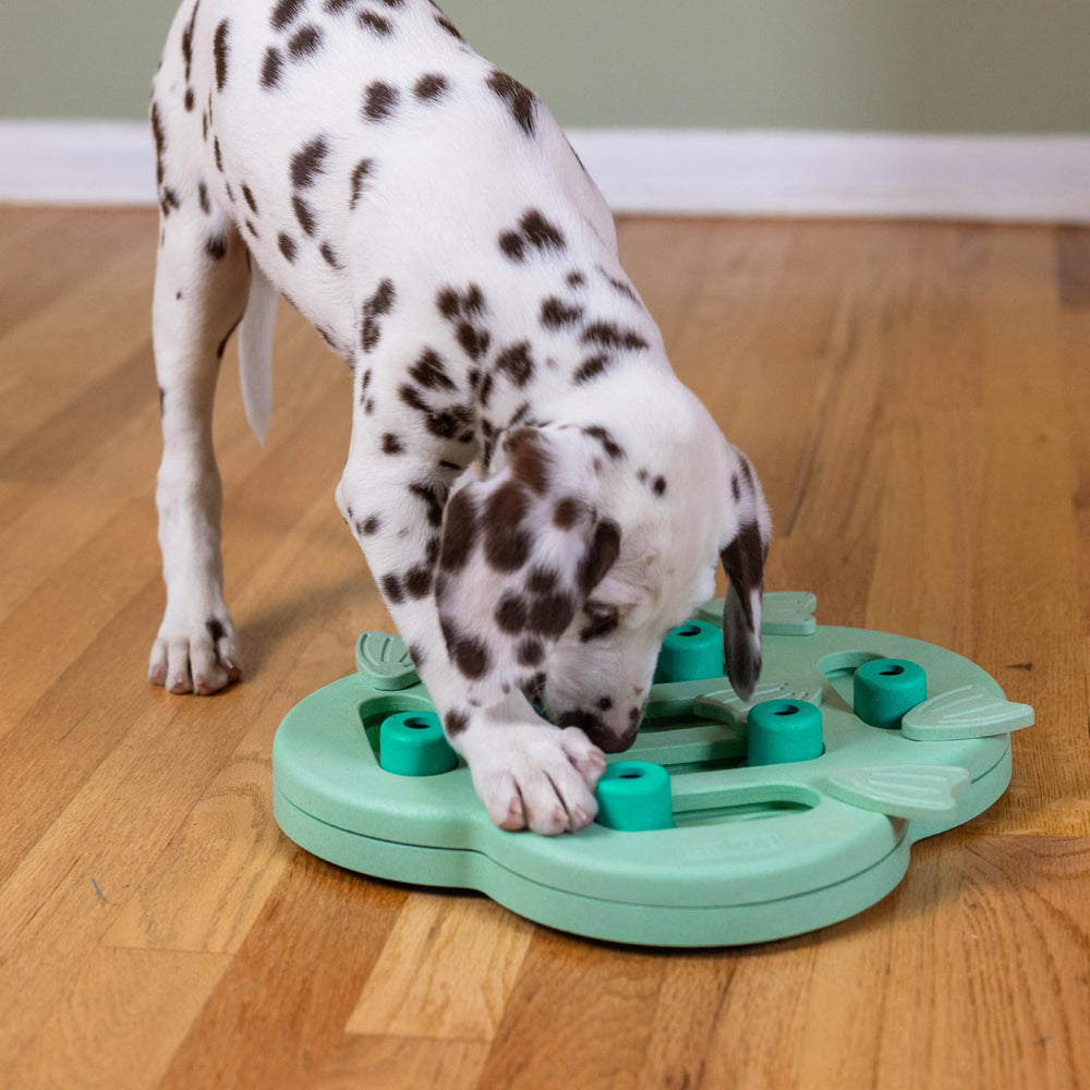Outward Hound Puppy Hide N' Slide enrichment toy supports focus and exercise.
