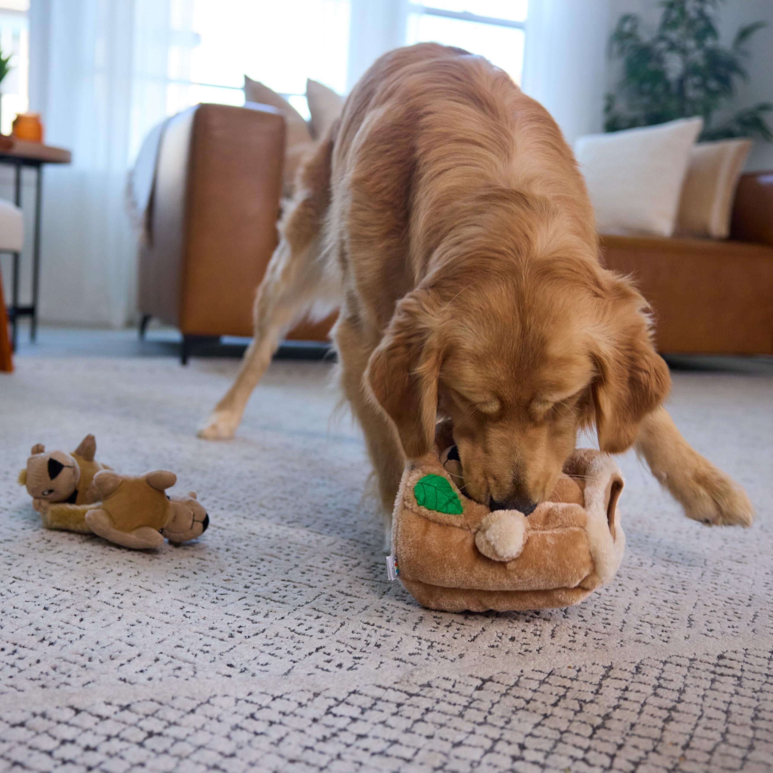 Outward Hound Replacement Squeakin Squirrels Pack adds fresh hunt opportunities.