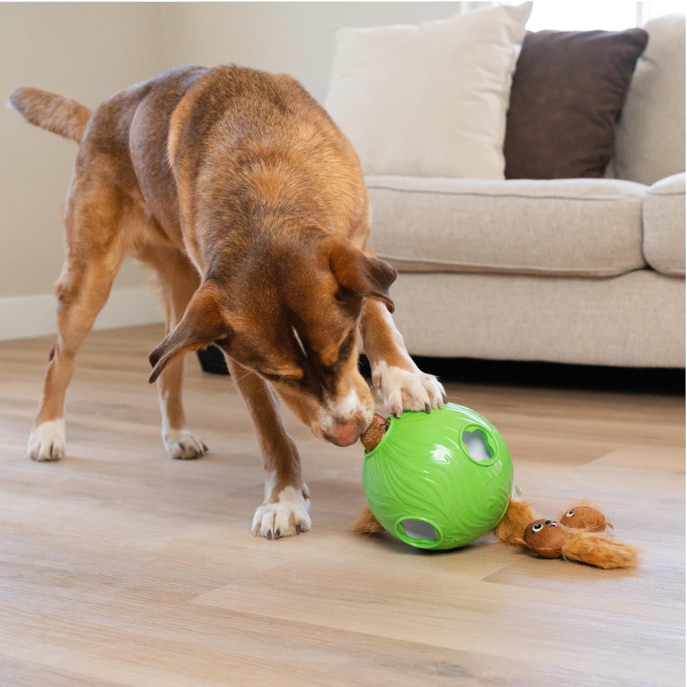 Outward Hound Snuffle N' Treat Ball Level 2 green portable storage ready
