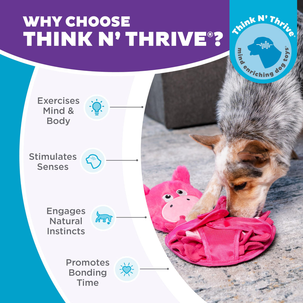 Outward Hound Snuffle Palz promotes mental enrichment with Think N Thrive.