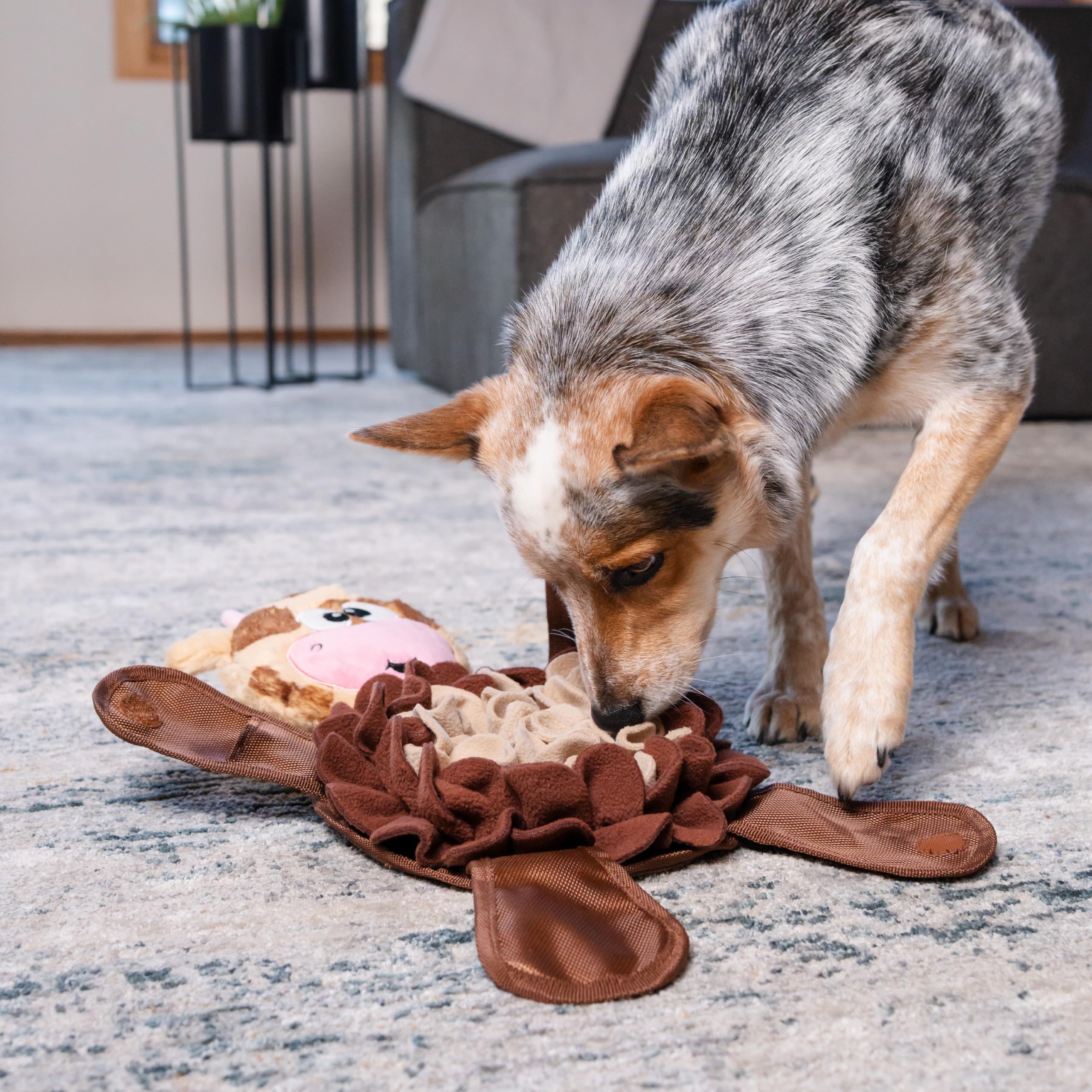 Outward Hound Snuffle Palz squeaker keeps dogs engaged after treats