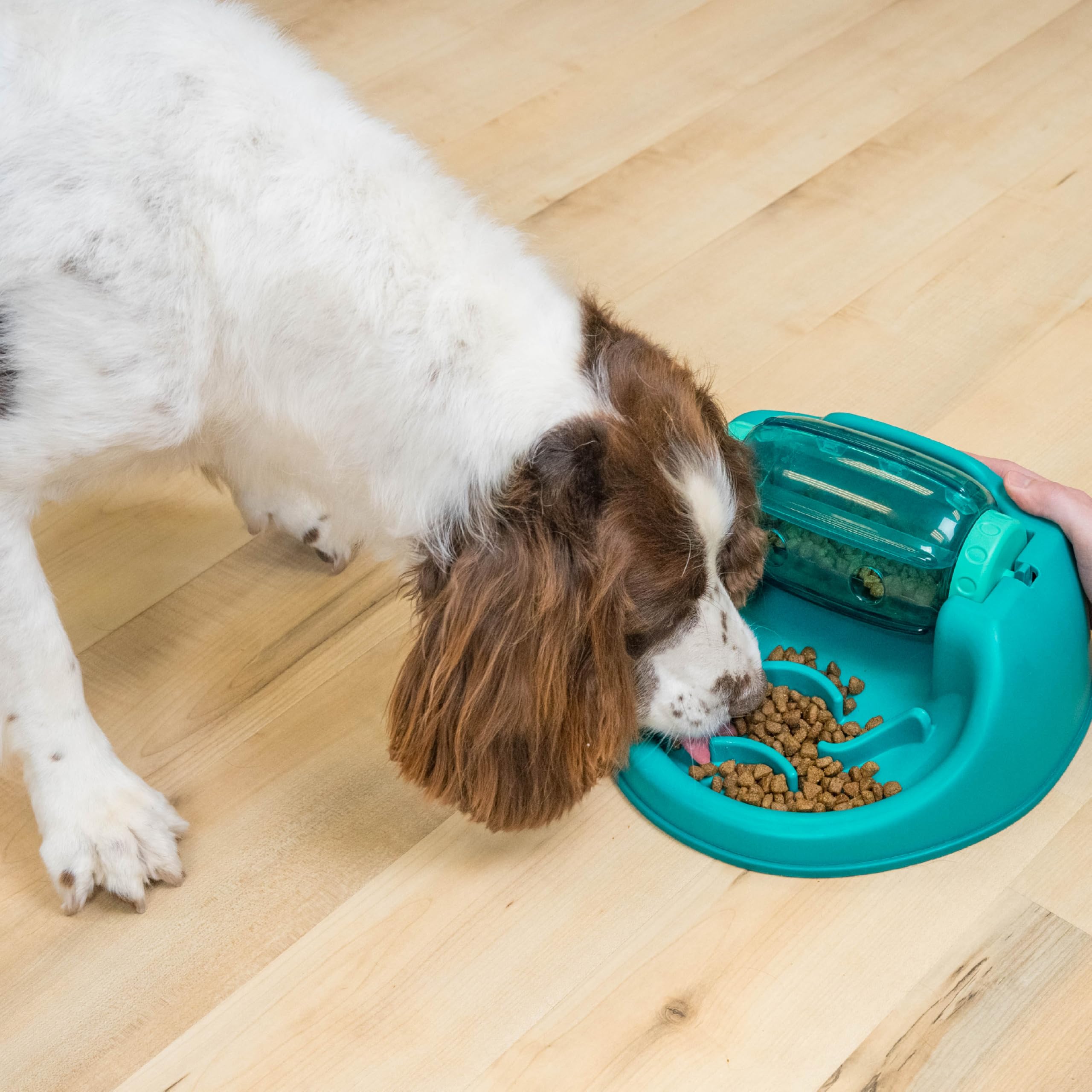Outward Hound Spin N' Eat ideal for kibble or treats at breakfast, lunch, or dinner.
