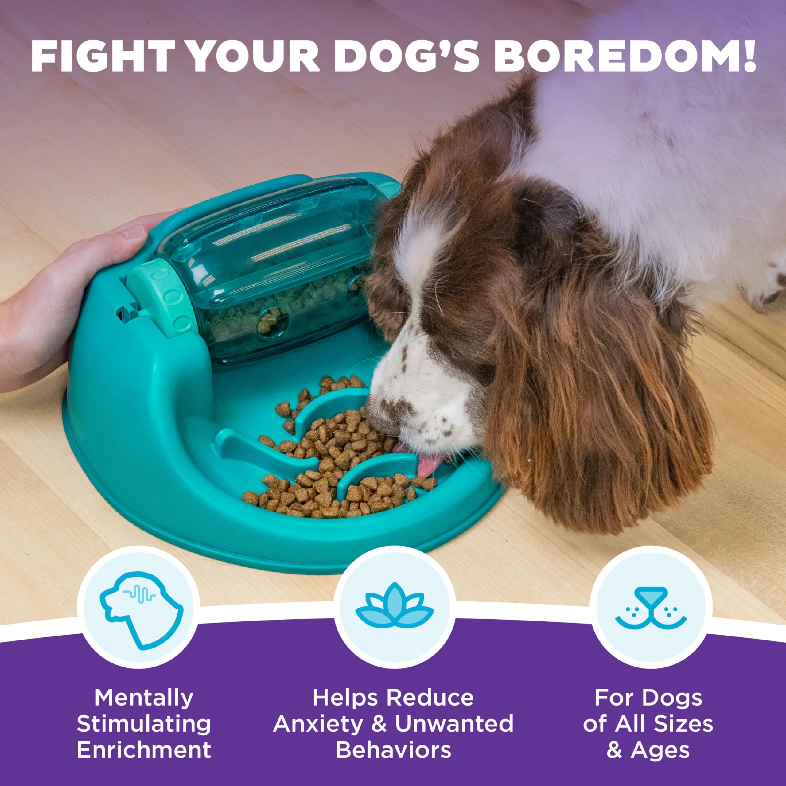 Outward Hound Spin N' Eat enrichment toy providing mental exercise and fun during snack time.