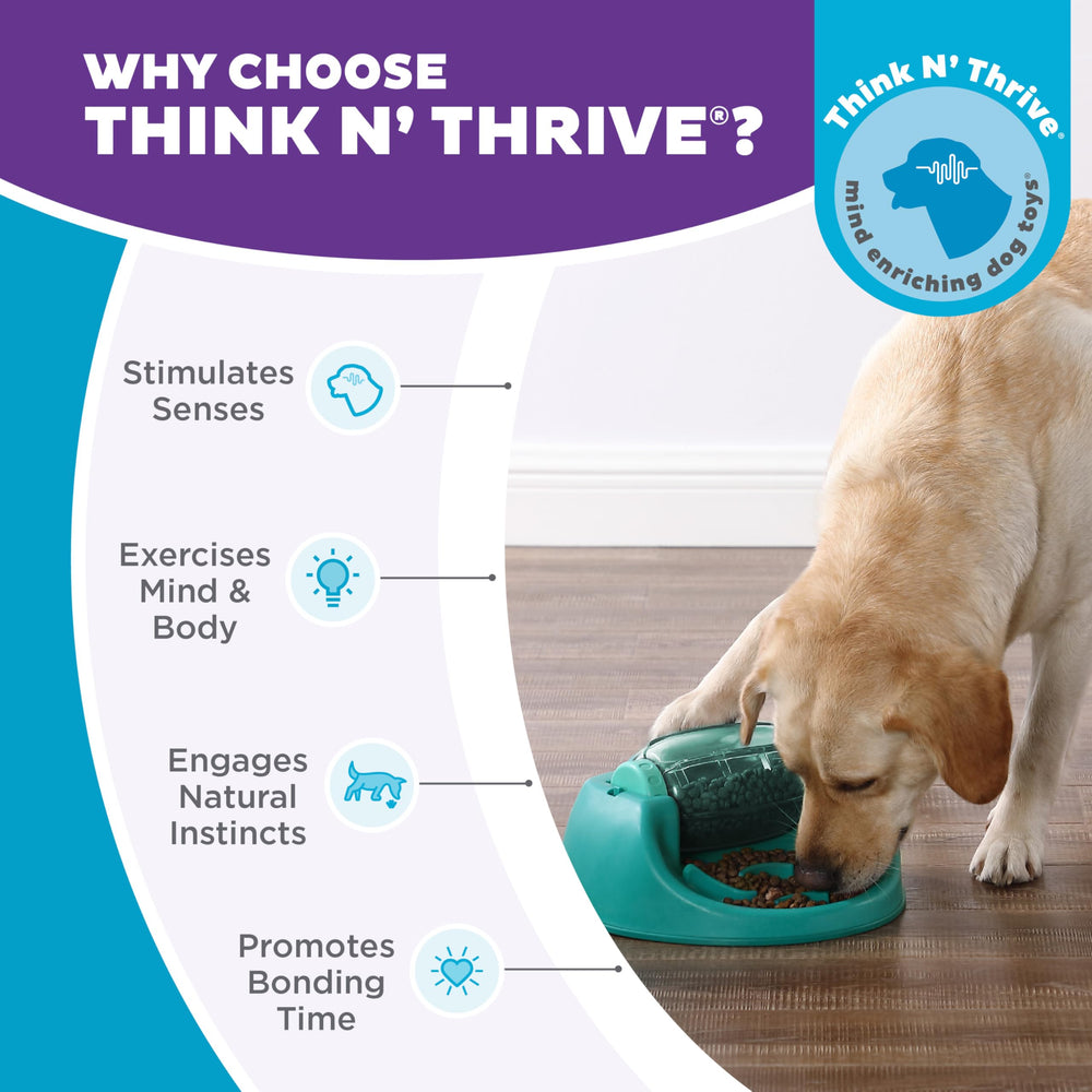 Outward Hound Spin N' Eat features food-safe materials throughout construction.