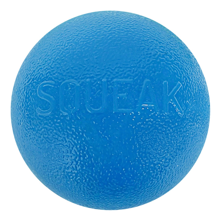 Outward Hound Squeak Ball blue close-up shows durability and bounce for fetch