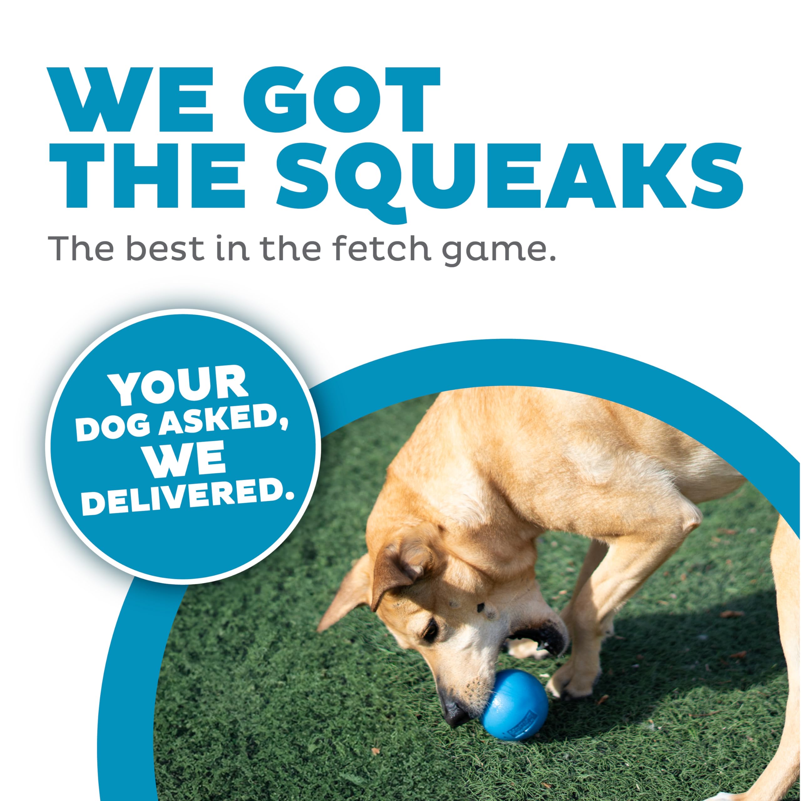 Outward Hound Squeak Ball floats on water for versatile play