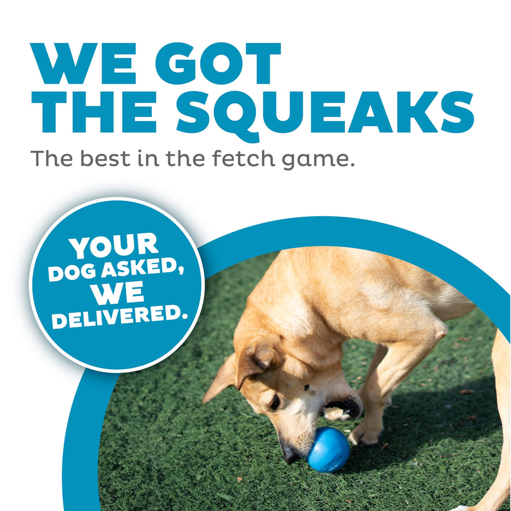 Outward Hound Squeak Ball floats on water for versatile play