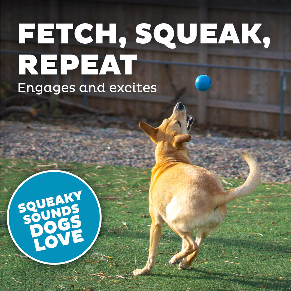 Outward Hound Squeak Ball blue shows BPA-free safety materials