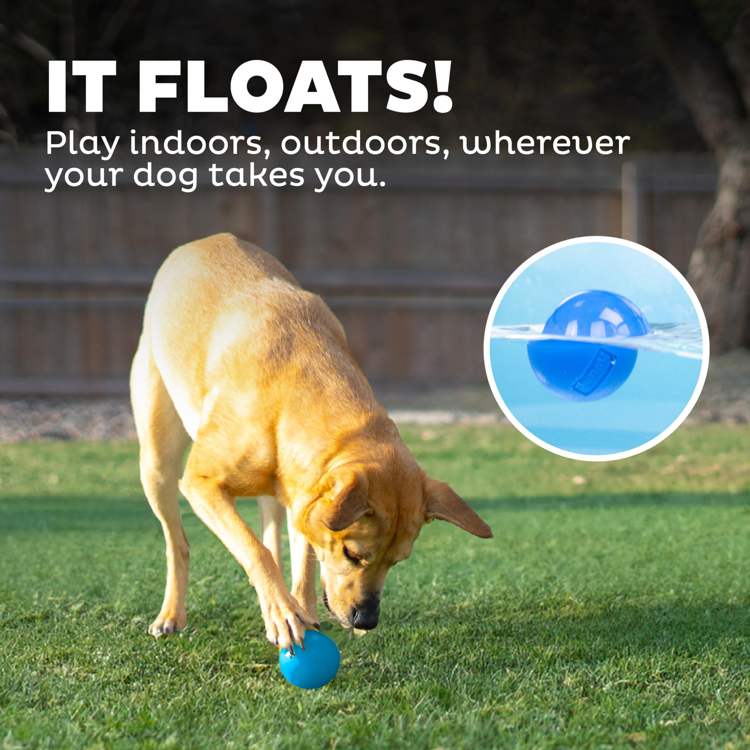 Outward Hound Squeak Ball designed for small to large dogs during fetch