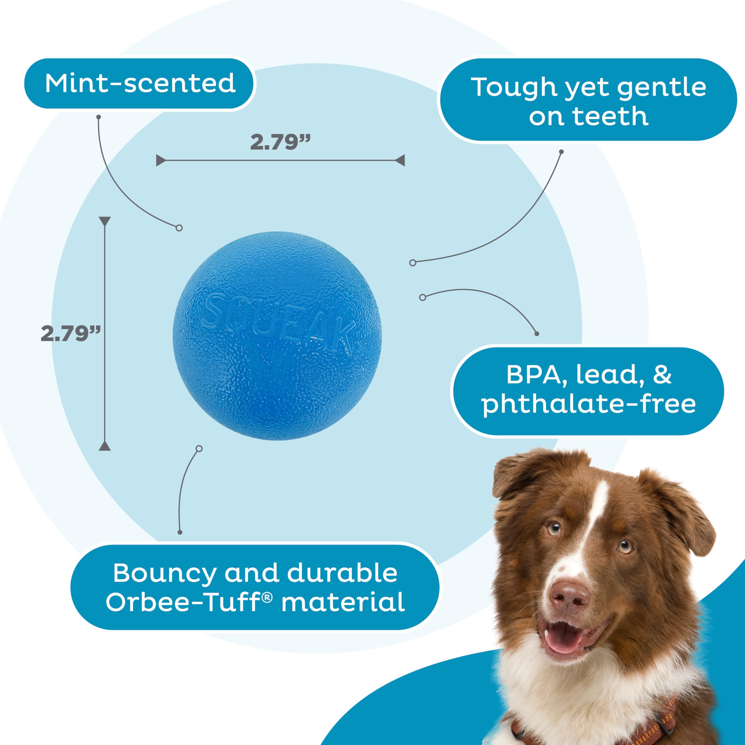 Outward Hound Squeak Ball blue color ideal for indoor and outdoor fetch