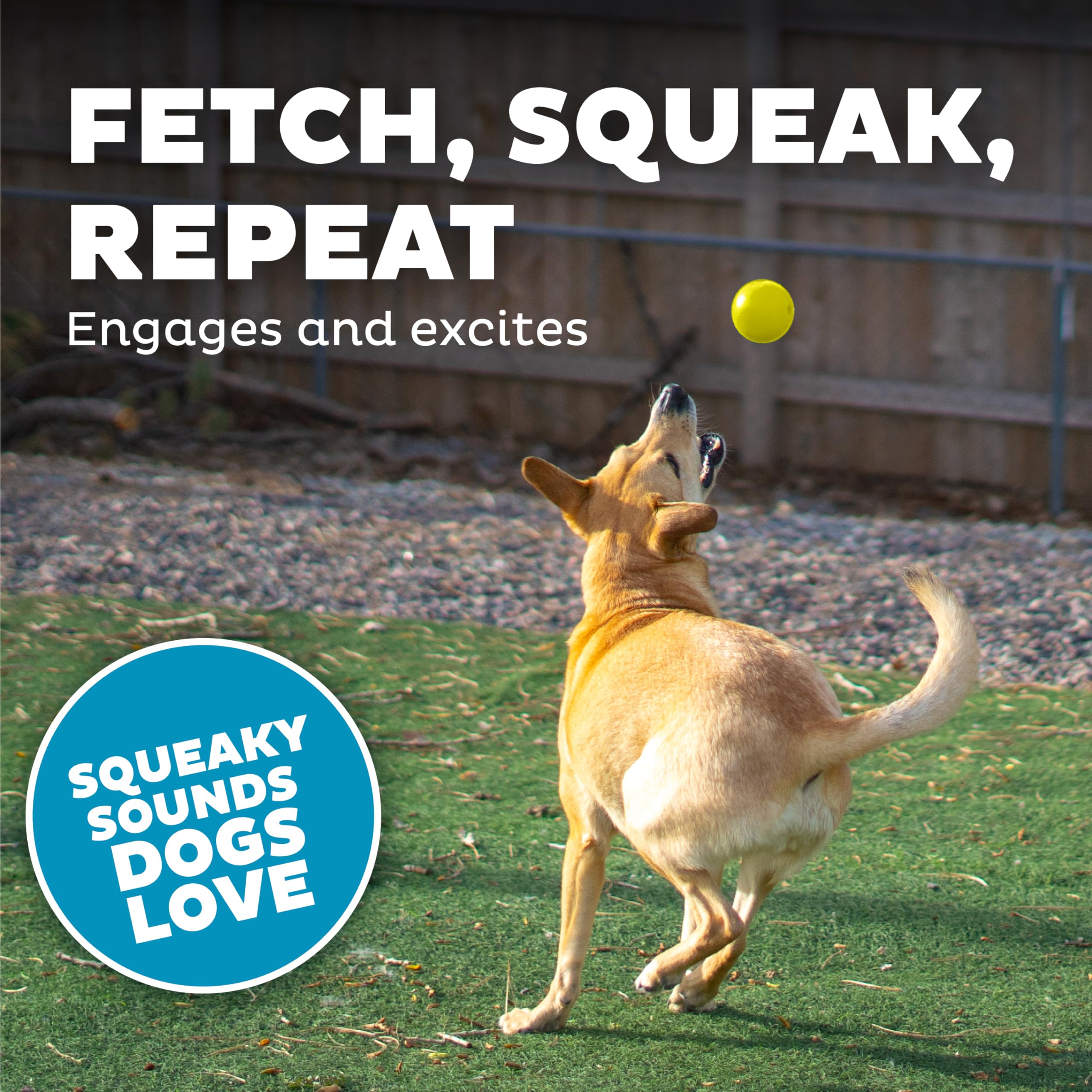 Outward Hound Squeak Ball rugged chew-time built to last.