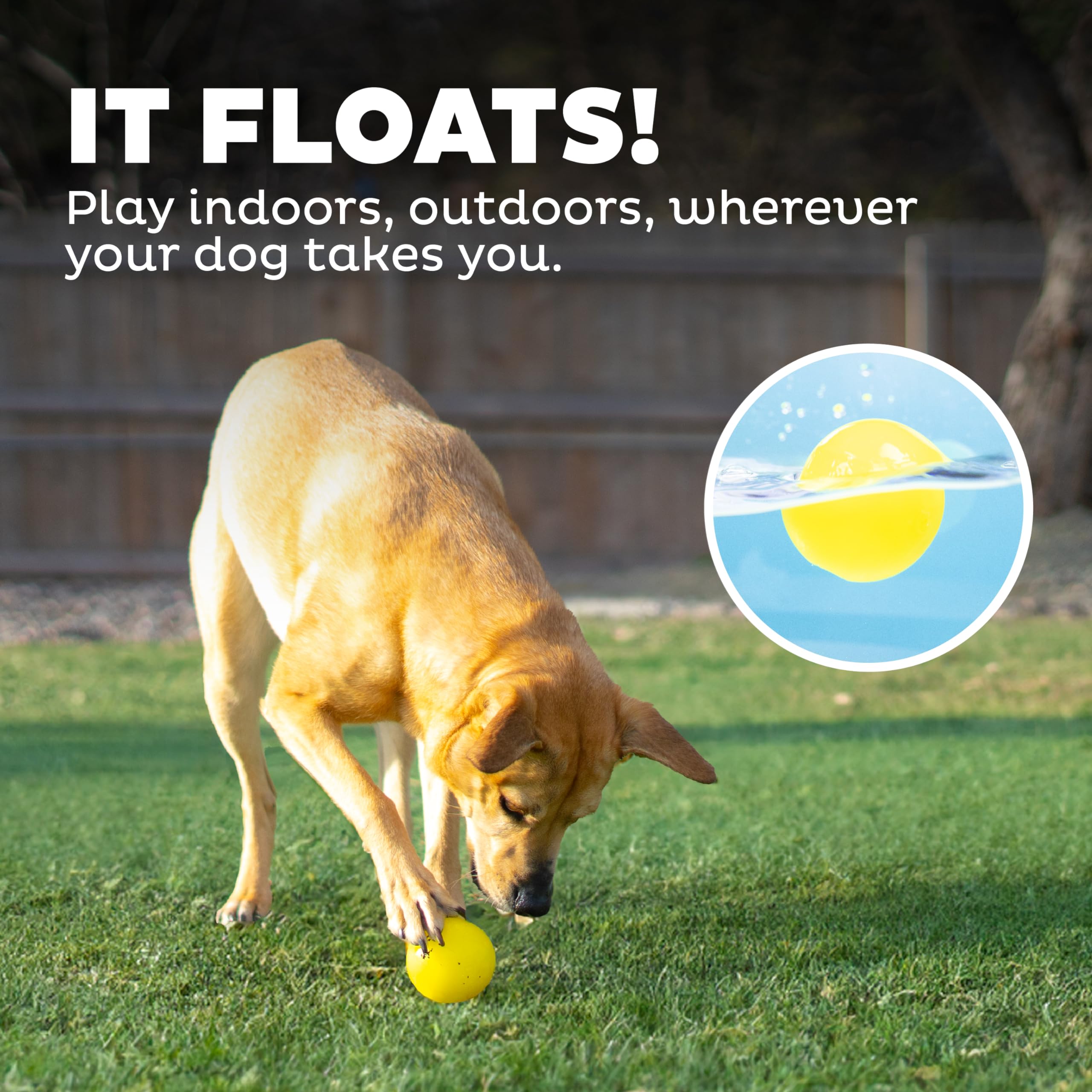 Outward Hound Squeak Ball mint-scented for fresher breath during play.