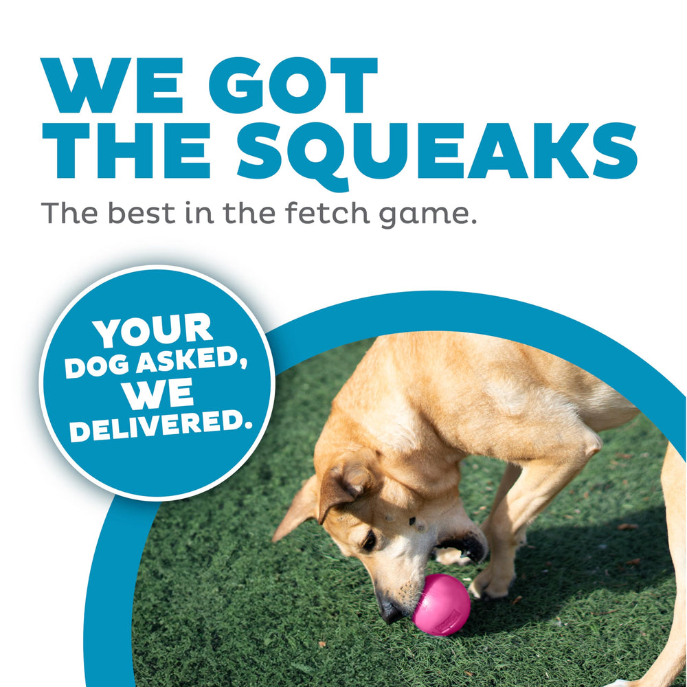 Outward Hound Squeak Ball Pink in action, showcasing strong bounce during fetch.