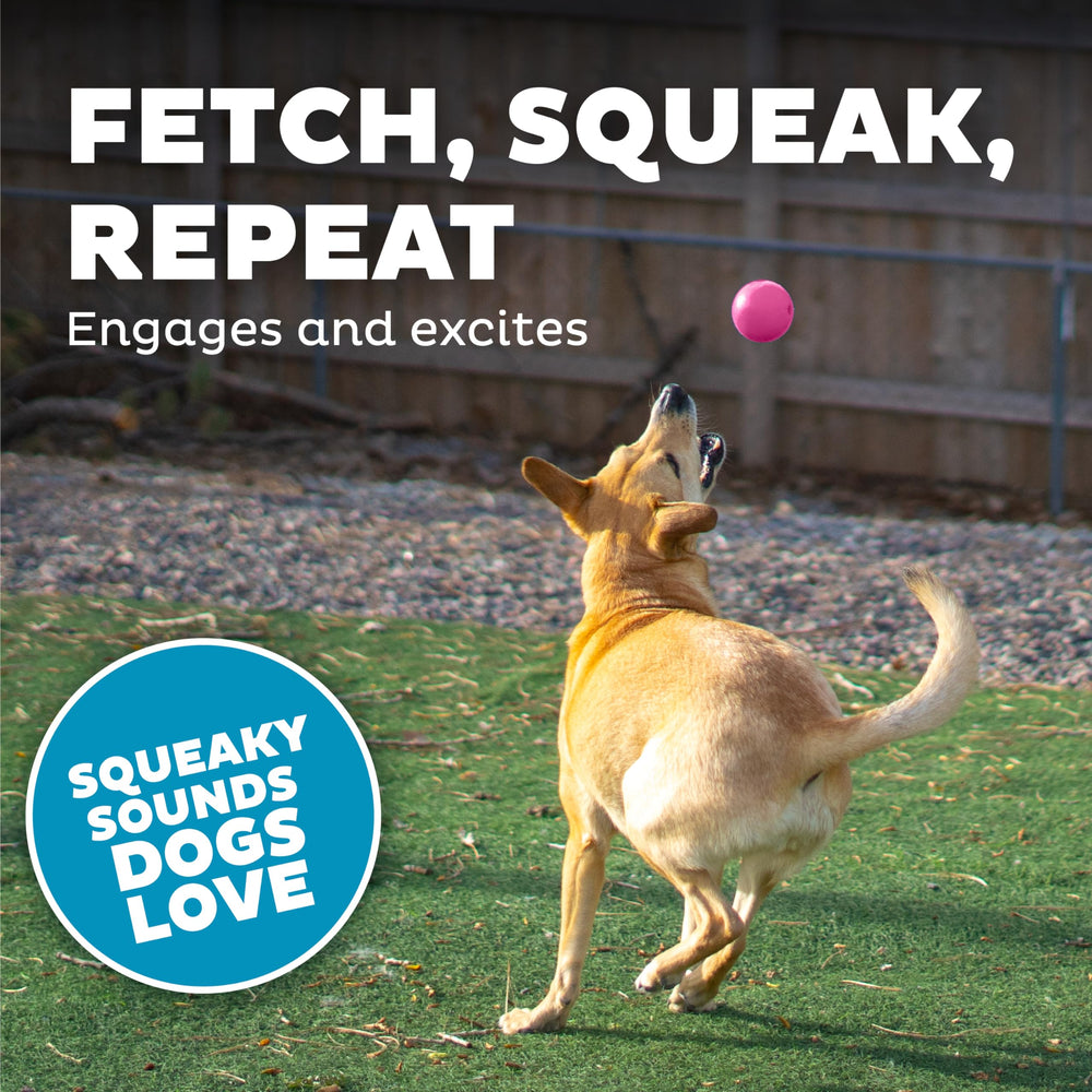 Outward Hound Squeak Ball Pink designed for chewers with lasting durability.