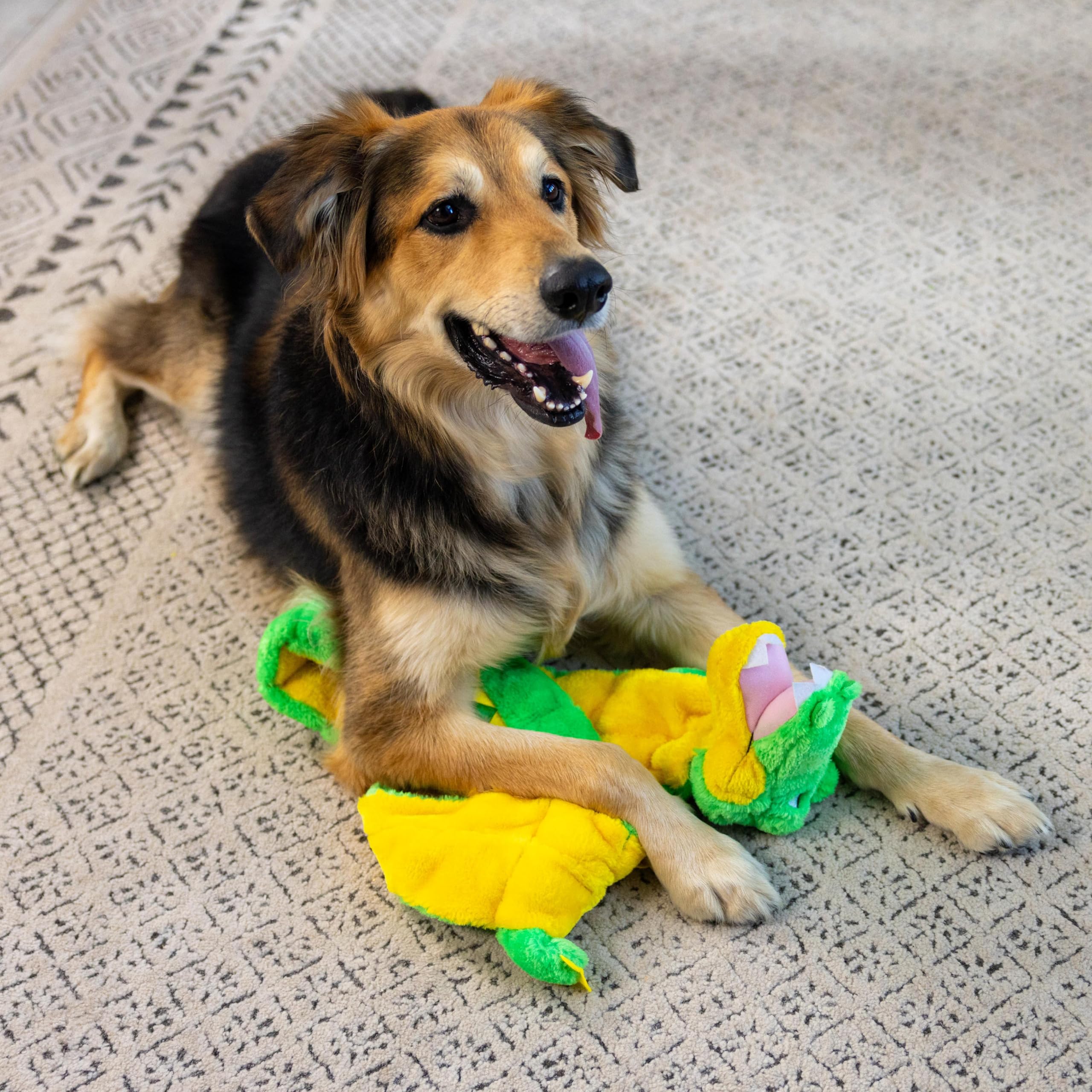 Outward Hound Squeaker Matz care and safety reminders for happy dogs